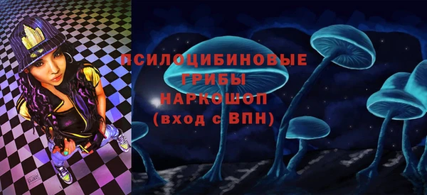 мескалин Медвежьегорск