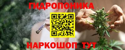 MDMA Камышлов
