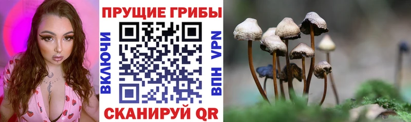 Псилоцибиновые грибы MAGIC MUSHROOMS Лысьва