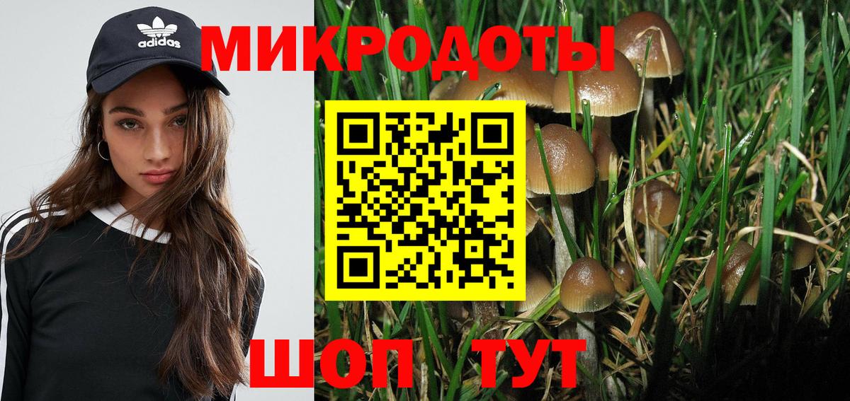Псилоцибиновые грибы GOLDEN TEACHER Лысьва